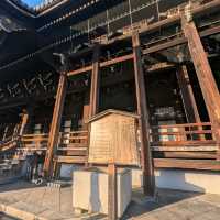 🇯🇵京都「西本願寺 東本願寺」銀杏盛開實況！穿越時空的寧靜之美