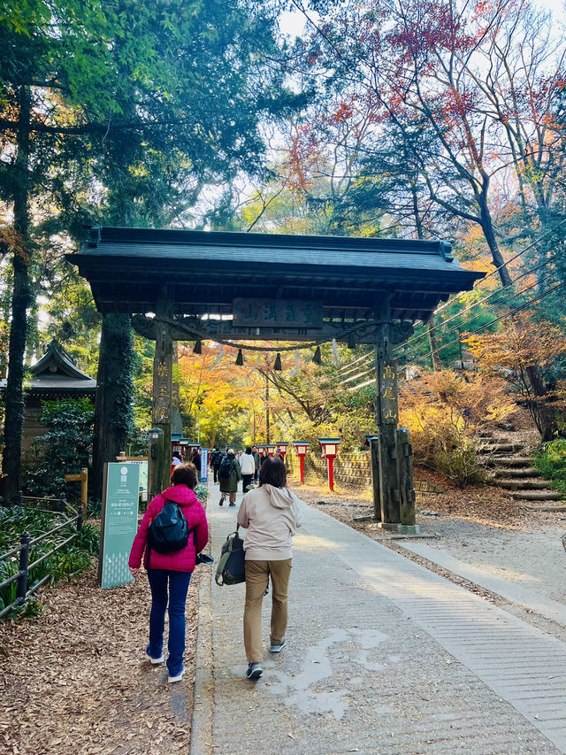 秋日高尾山，紅葉映照的心靈之旅