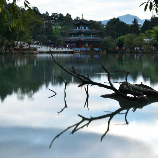 เดินเล่นยามเย็นที่สวนมังกรดำ lijiang 