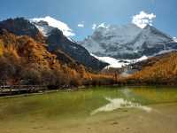 Best Autumn Viewing Experience 2/3 [Xiannairi Snow Mountain, Yading Nature Reserve]