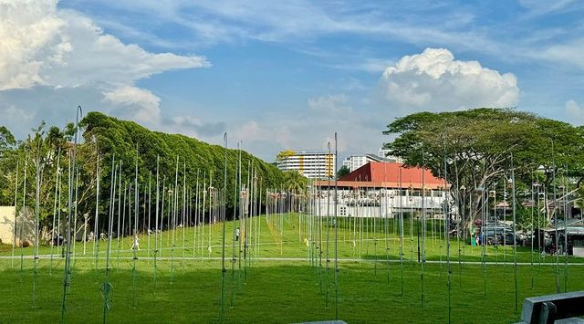 Birds telling your fortune in Singapore - Kebun Baru Birdsinging Club