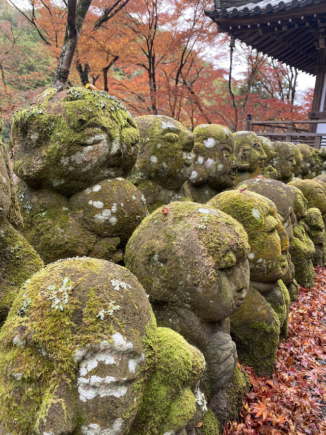 Autumn colors in Kyoto 🍁