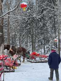 不是雪鄉住不起，而是雪谷更有性價比