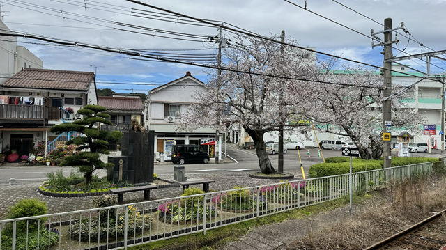 日本紀伊勝浦，還想去第二次！！！