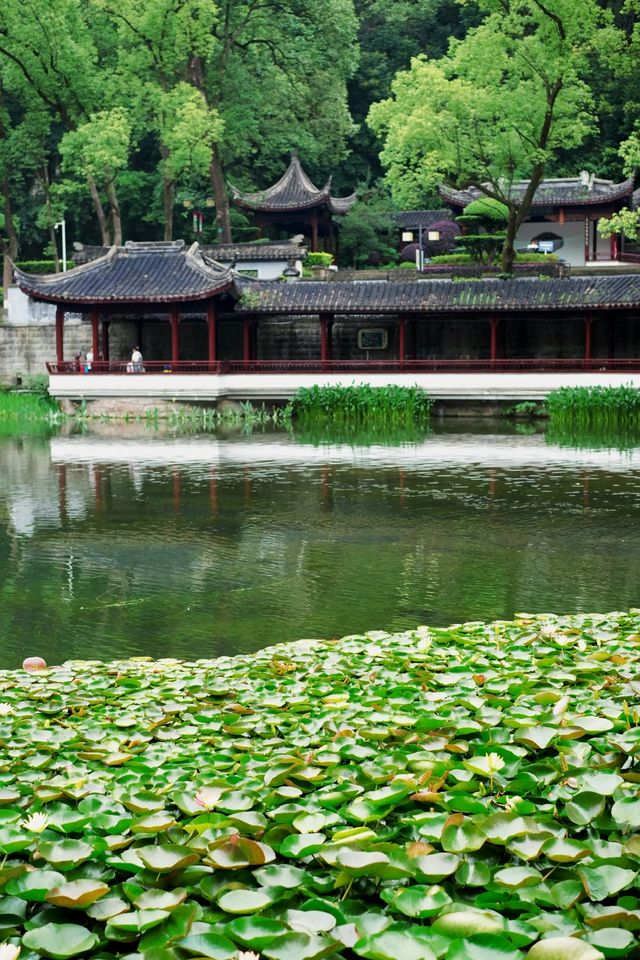 浪漫泸州｜藏在忠山公園的松弛感