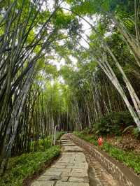 廣州｜ 黃埔油麻山森林公園。