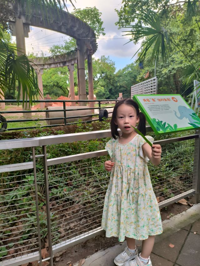 天氣正好，遛娃好去處——上海動物園。