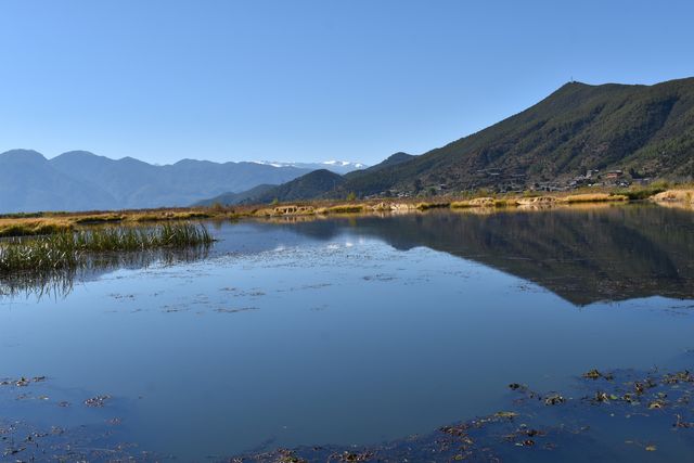 瀘沽湖裡的草海