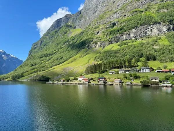 Explore the Majestic Sognefjord in Norway