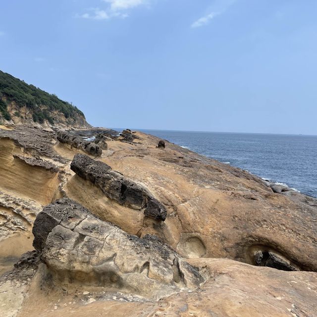 走到台灣北部盡頭-野柳地質公園