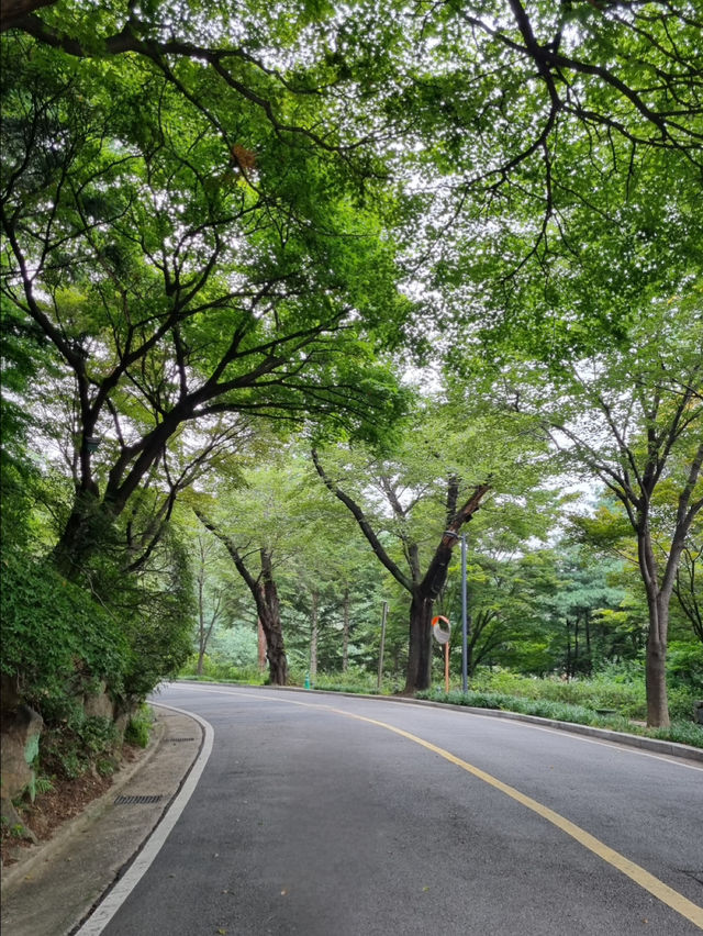 서울에서 사계절을 즐길 수 있는 드라이브 코스 겸 산책로를 추천합니다!!