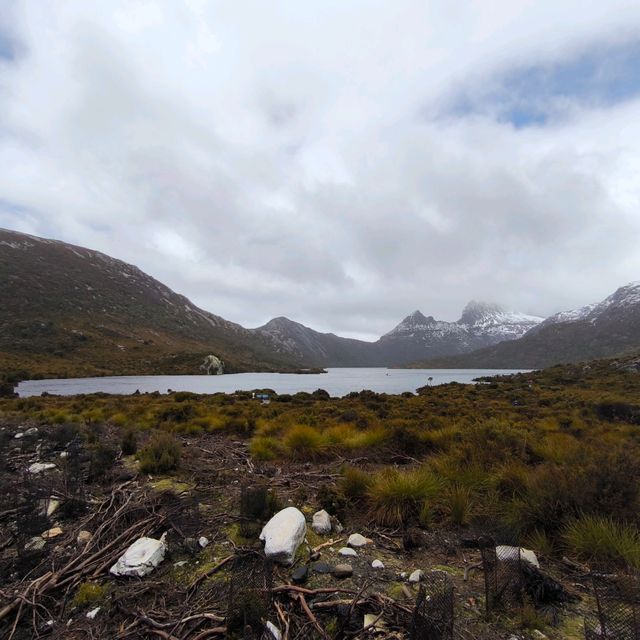 Tasmania Cradle mountain 