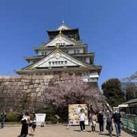 Stepping into History: My Adventure at the Majestic Osaka Castle!