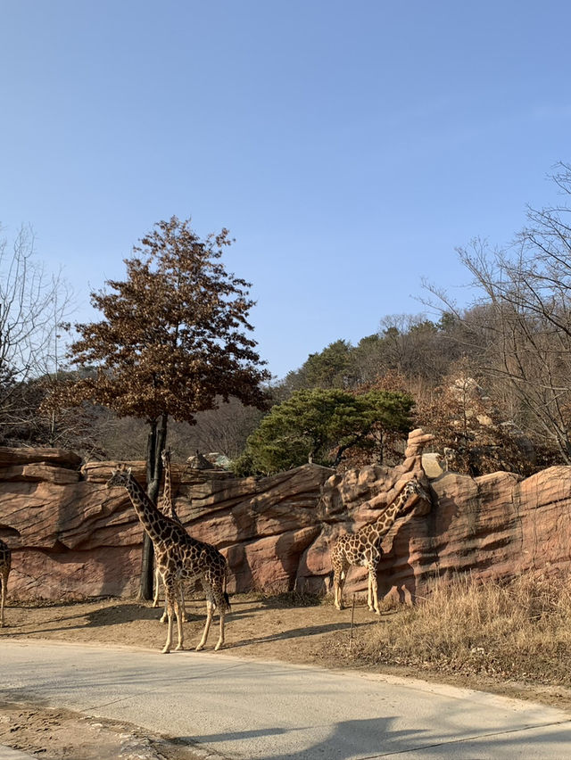 愛寶樂園．進入童話世界