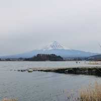 Facing Majesty: A Moment with Mount Fuji at Kawaguchiko