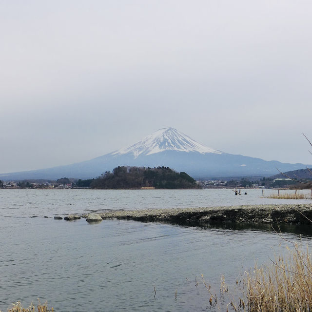 Facing Majesty: A Moment with Mount Fuji at Kawaguchiko