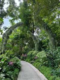 Singapore Botanic Gardens: A Serene Escape into Nature