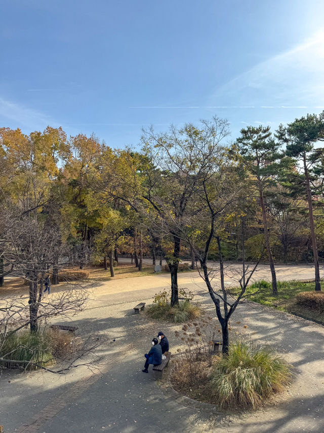 산책하기 좋은 공원 ‘서울숲’