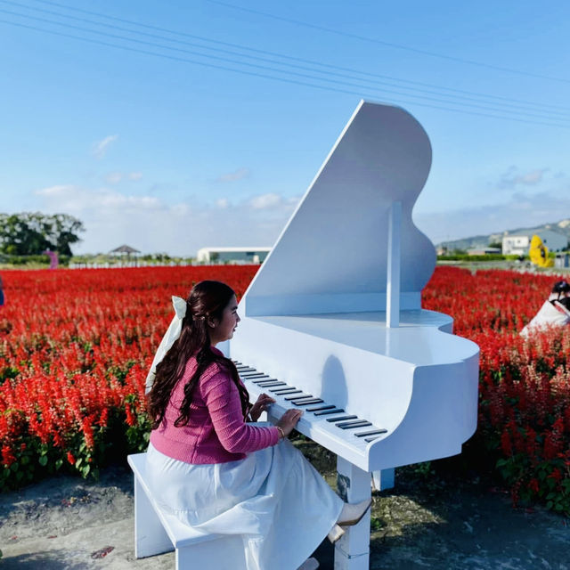 A Colorful Day Out at Chung She Flower Garden