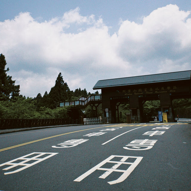 Alishan National Forest Recreation Area