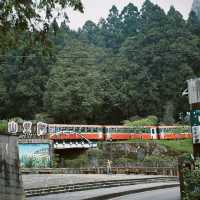 Alishan National Forest Recreation Area