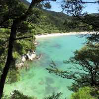 Unleashing Wonder in Abel Tasman