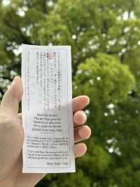 Discover Serenity at Meiji Jingu in Tokyo, Japan