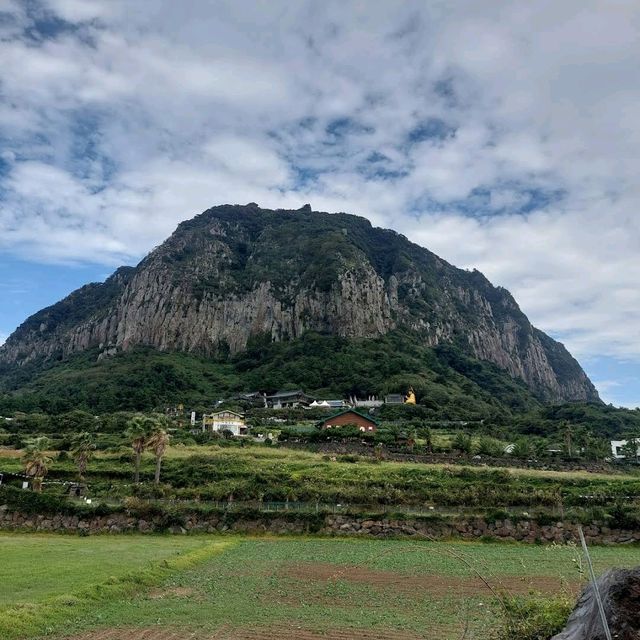 Jusangjeolli Cliff