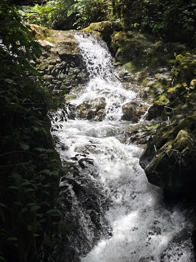 重慶黑山谷|幽峽峭壁瀑布自然景觀。