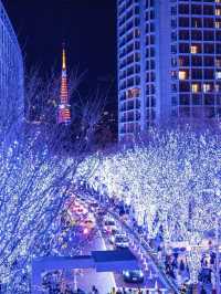 Tokyo's Exclusive Christmas Illumination is Back!