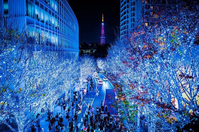 Tokyo's Exclusive Christmas Illumination is Back!