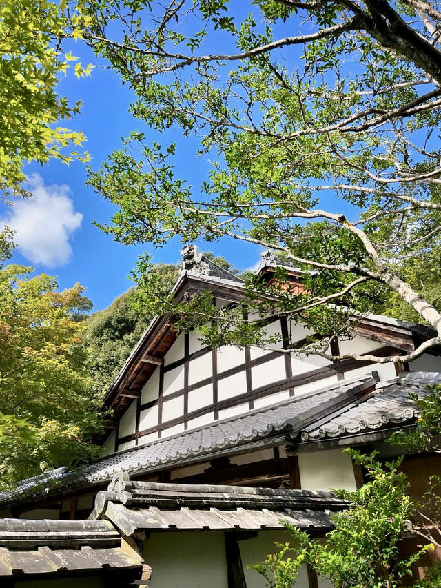 苔韻流年：西芳寺的靜謐詩篇