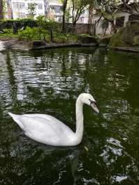 多次遊覽廣州動物園，為您總結的詳盡攻略來啦