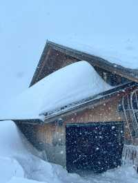 瑞士少女峰格林德瓦 First 滑雪