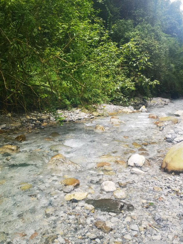 峨眉山2日遊 玩轉仙山不迷路