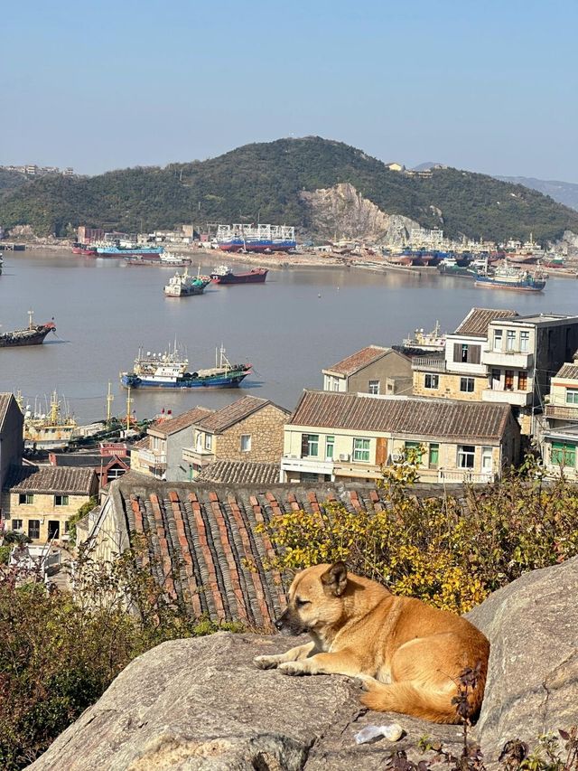 上海周邊兩日遊