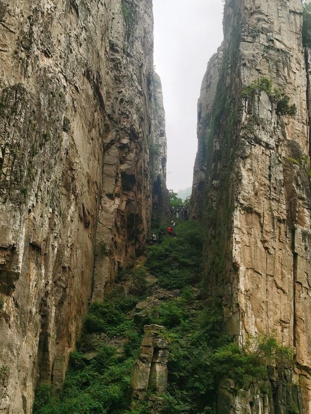 冬遊神農架風景區等地 美到窒息的攻略來啦