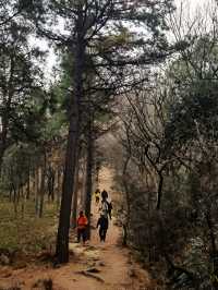 蘇州大陽山 釘子崖最刺激的爬山體驗