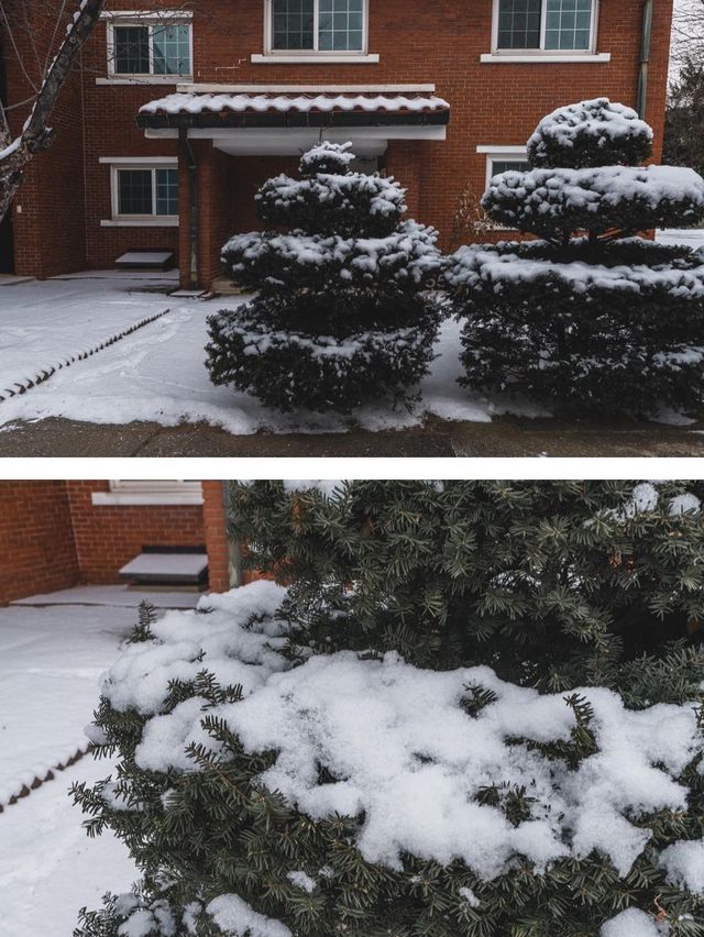 눈 내리는 날엔 용산공원으로❄️❄️ 