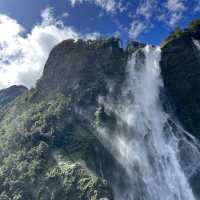 Sunny day at Milford Sound✨✨✨