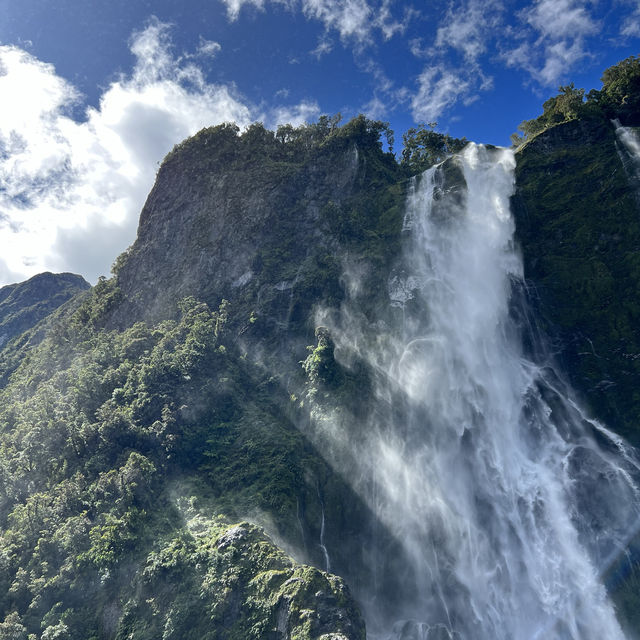 Sunny day at Milford Sound✨✨✨