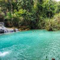 ชมน้ำตกสีมรกต ที่หลวงพระบาง