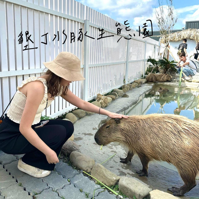 台灣恒春水豚生態園