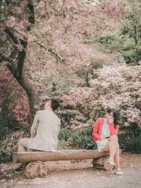 My Couple Trip in Japan, and Also Pre-Wedding Photo Trip