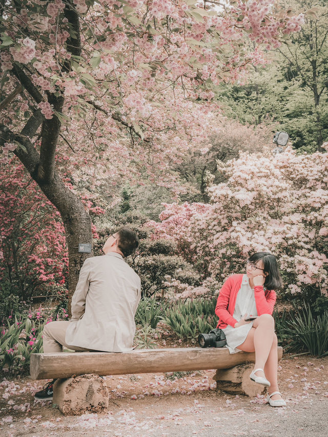 My Couple Trip in Japan, and Also Pre-Wedding Photo Trip