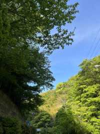 【静岡🇯🇵】かわいいお地蔵さんがいっぱい！