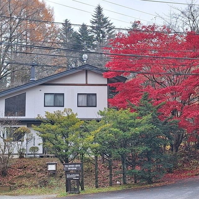 浸泡在露天溫泉，觀賞著遍山紅葉