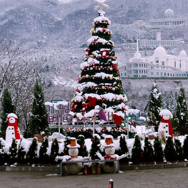 A Winter Wonderland at Gapyeong Begonia Bird Park!