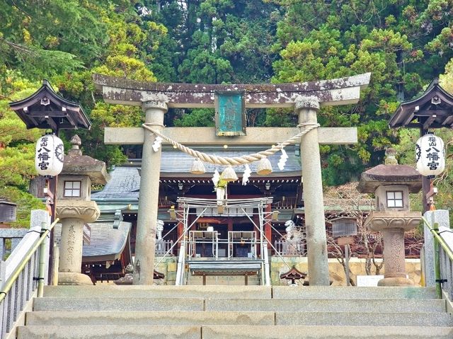 高山 - 氣派莊嚴的櫻山八幡宮