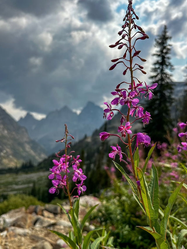 A Day at Grand Teton National Park: Adventure Awaits